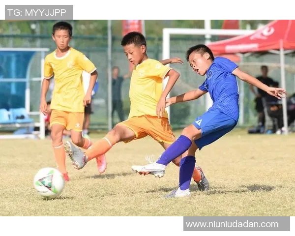 足球场上的巨力之星揭秘他们的力量与技巧如何改变比赛格局